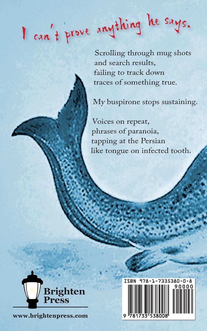 Rückseitencover Catfish and After