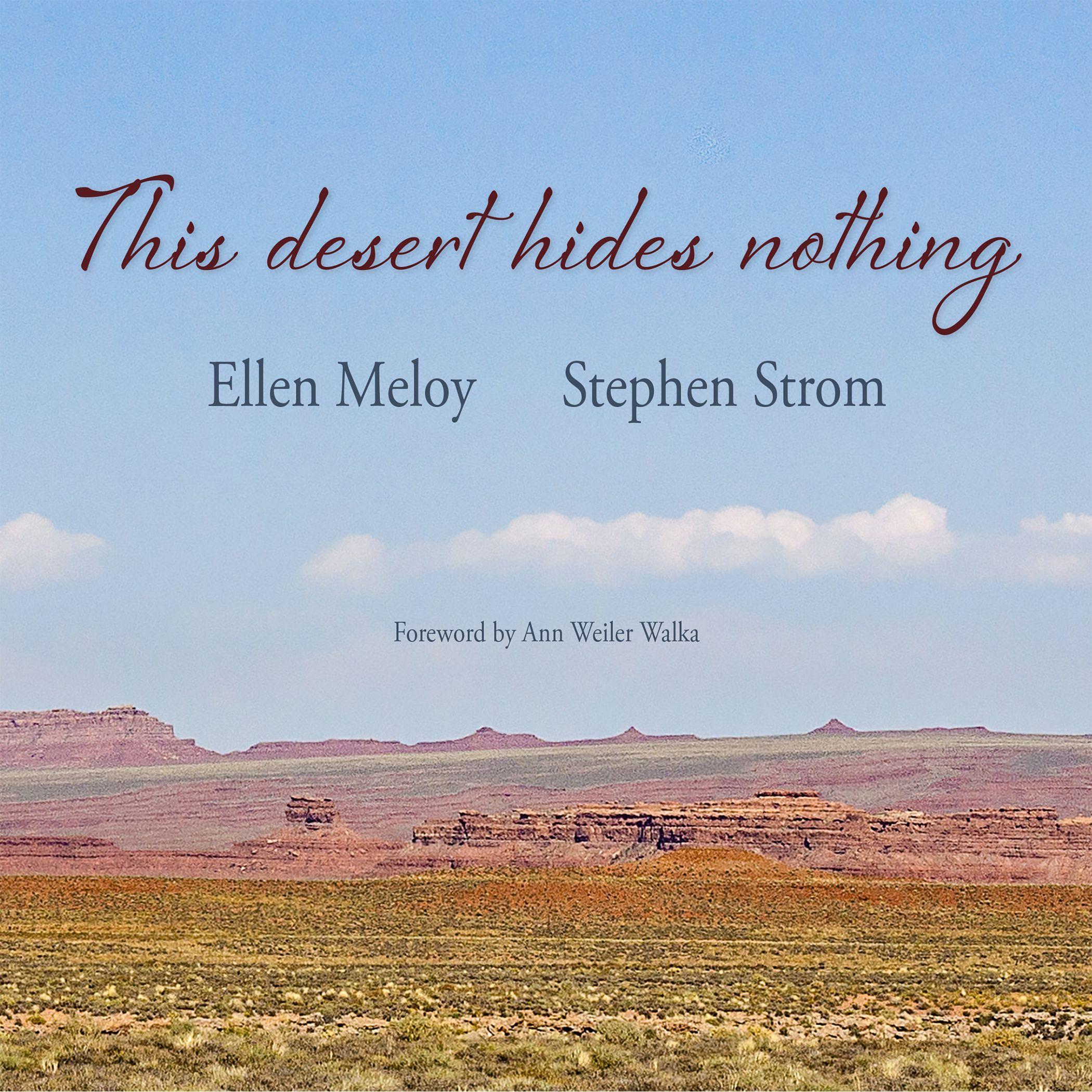 Vorderes Coverbild This Desert Hides Nothing