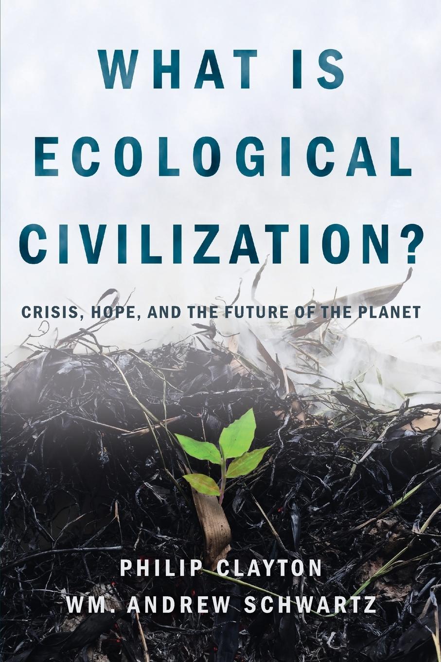 Vorderes Coverbild What Is Ecological Civilization