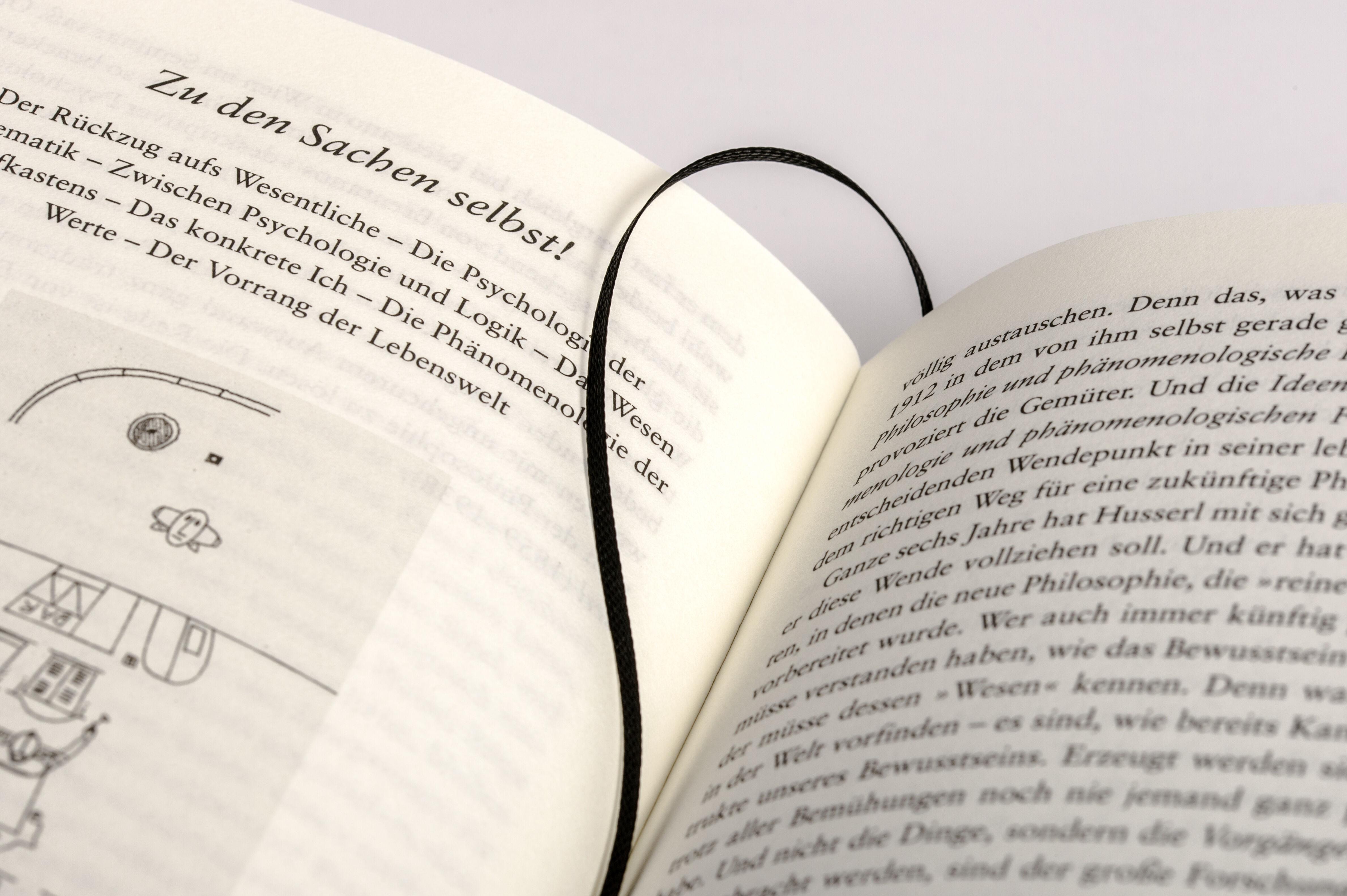 Beispielinhalt (Bild) Mache die Welt