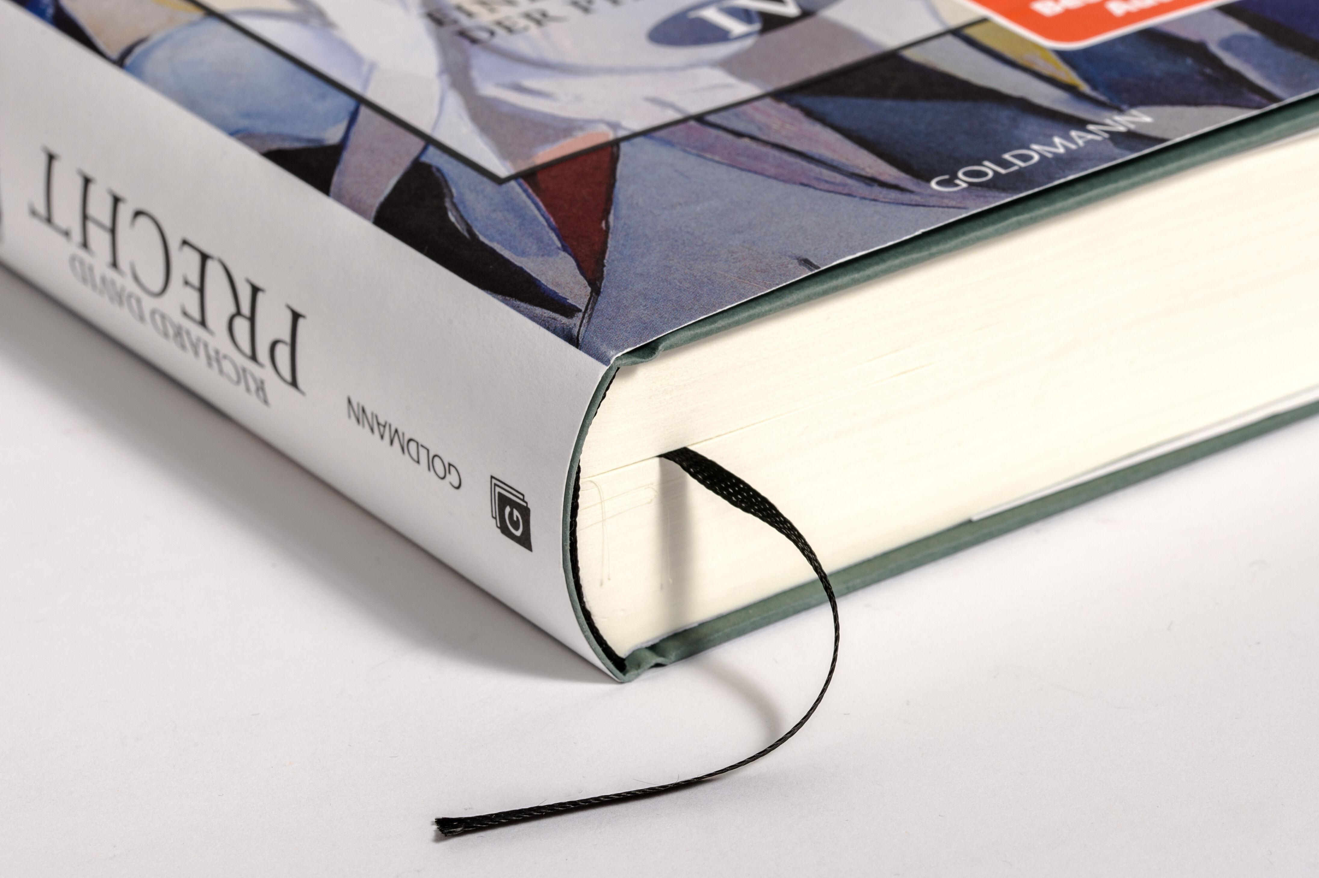 Beispielinhalt (Bild) Mache die Welt