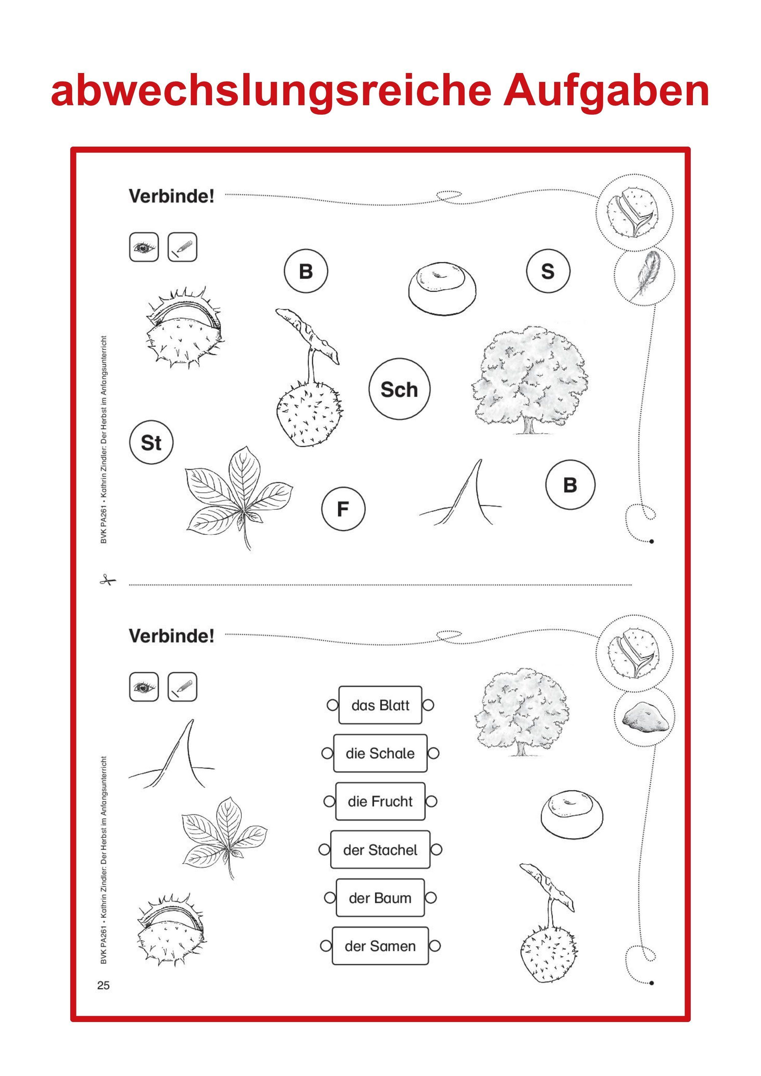Beispielinhalt (Bild) Der Herbst im Anfangsunterricht