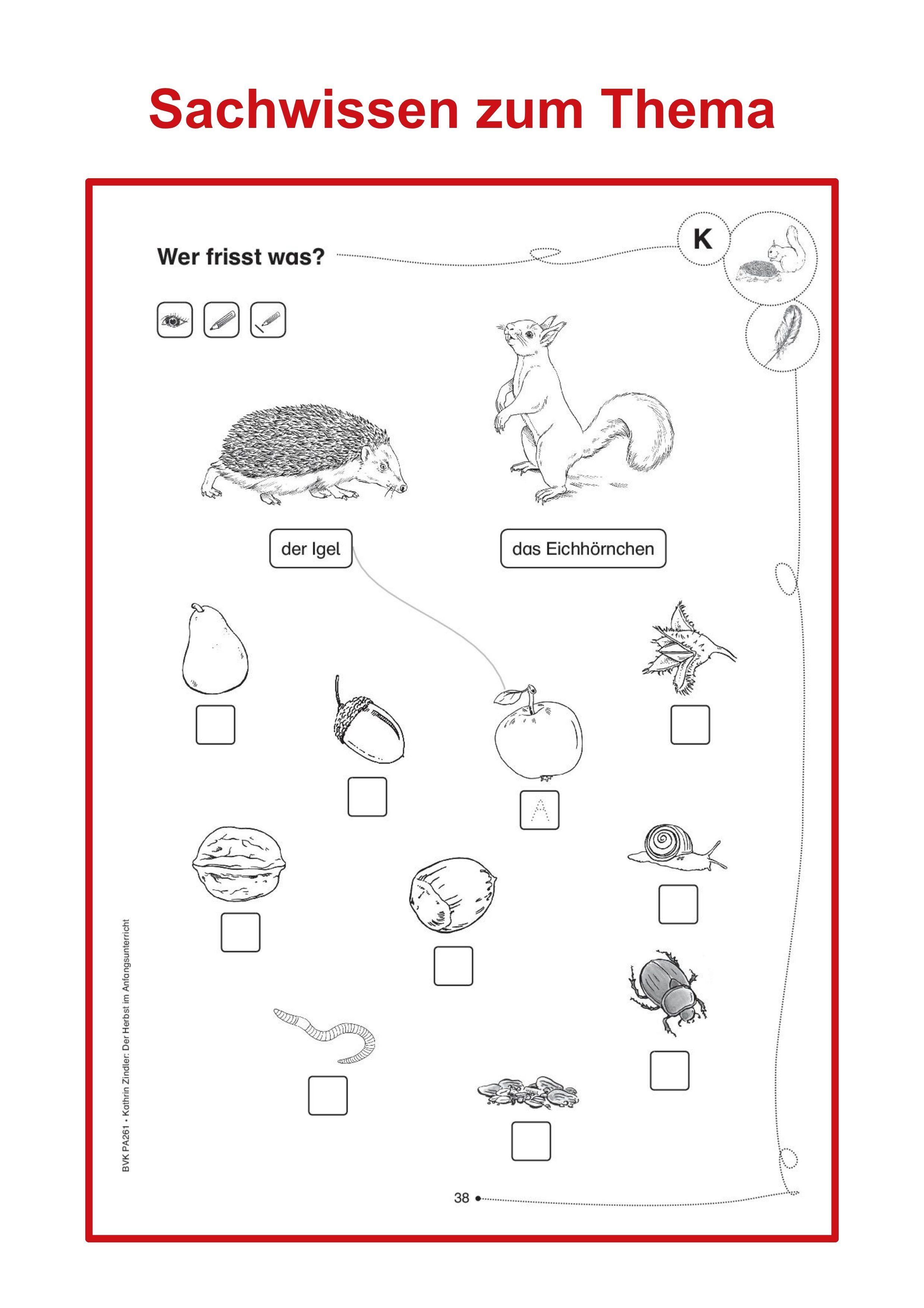 Beispielinhalt (Bild) Der Herbst im Anfangsunterricht