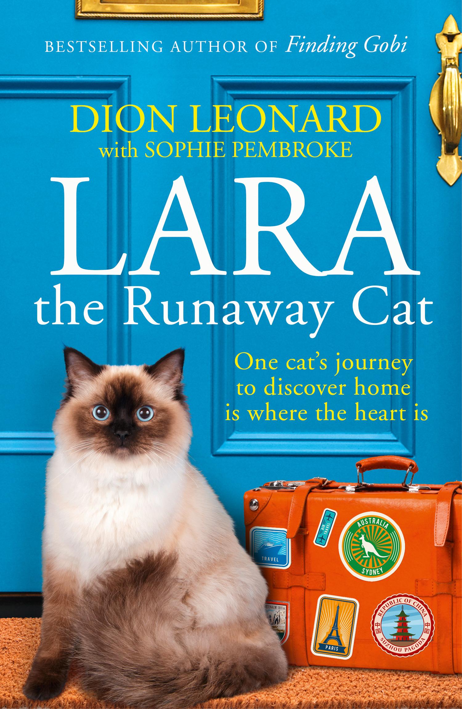 Vorderes Coverbild Lara the Runaway Cat
