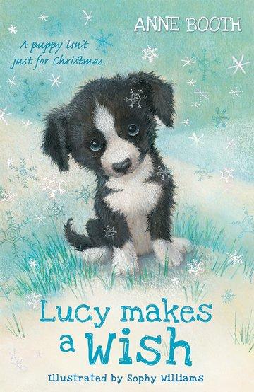 Vorderes Coverbild Lucy Makes a Wish