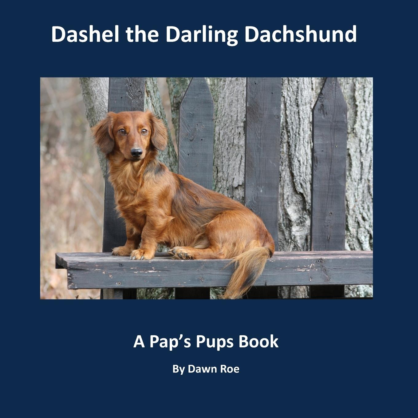 Vorderes Coverbild Dashel the Darling Dachshund