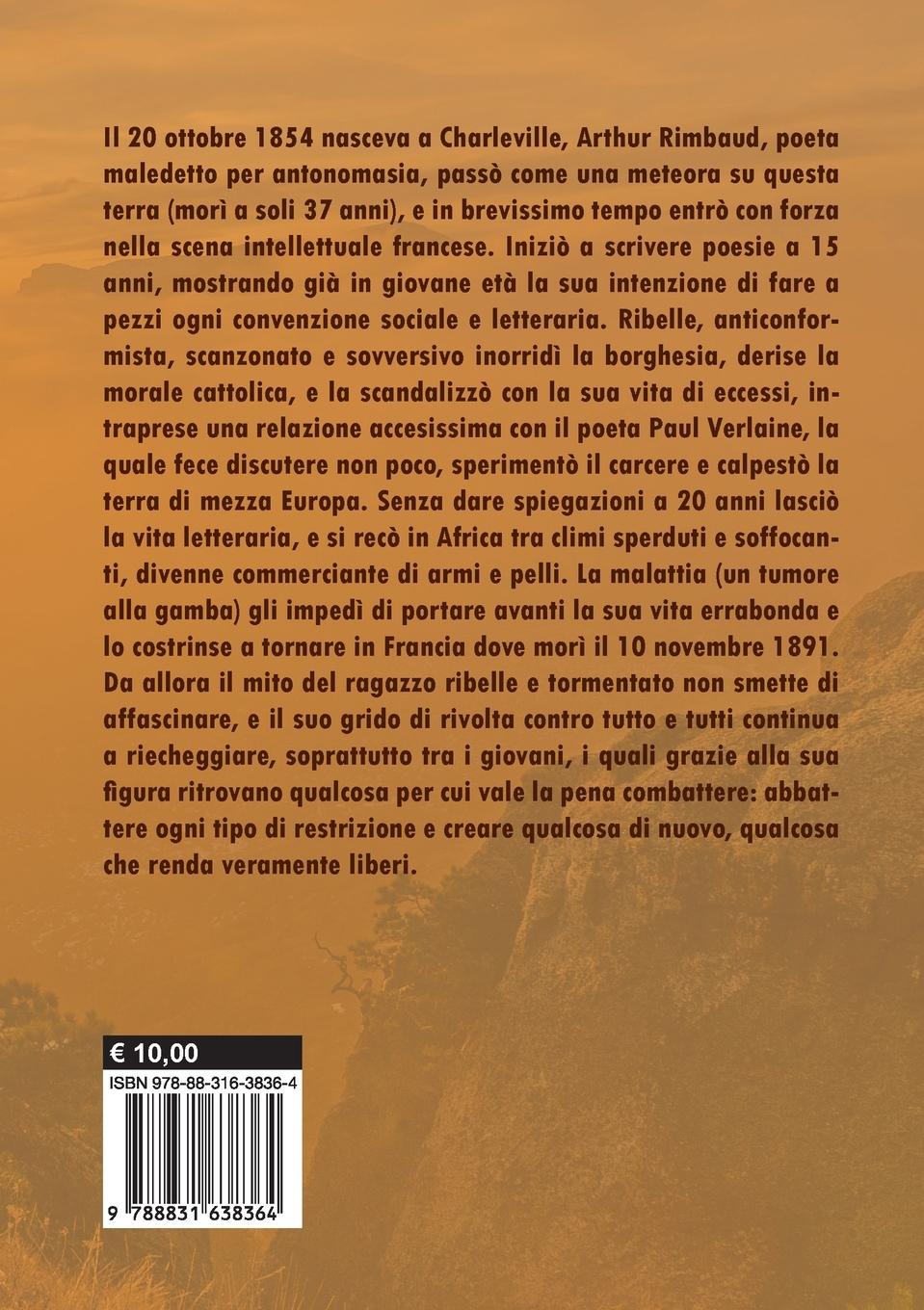 Rückseitencover Il ragazzo dalle suole di vento