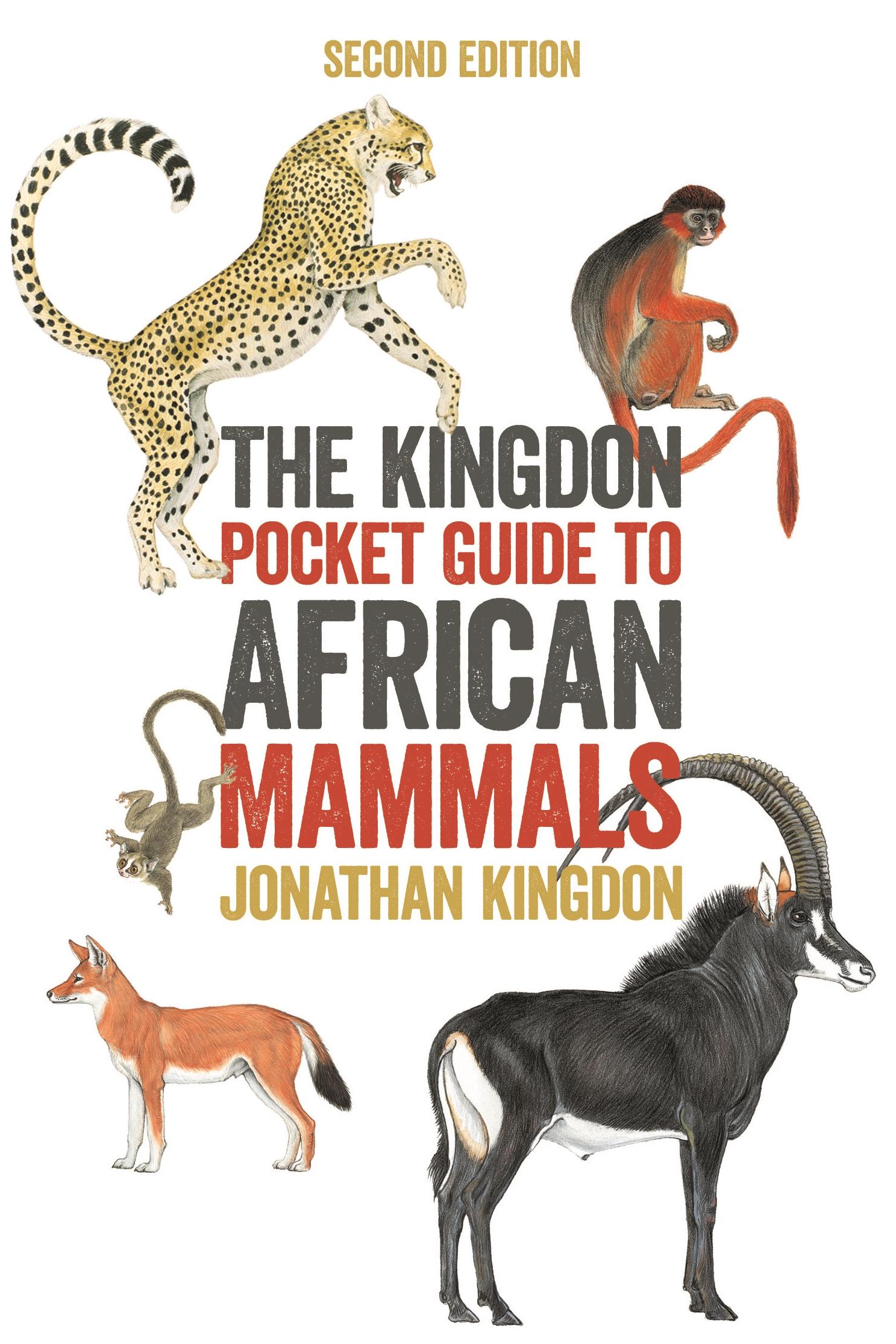 Vorderes Coverbild The Kingdon Pocket Guide to African Mammals