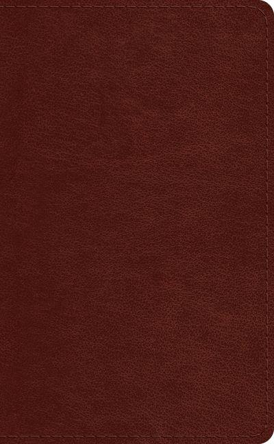 Vorderes Coverbild ESV Pocket Bible (Trutone, Chestnut)