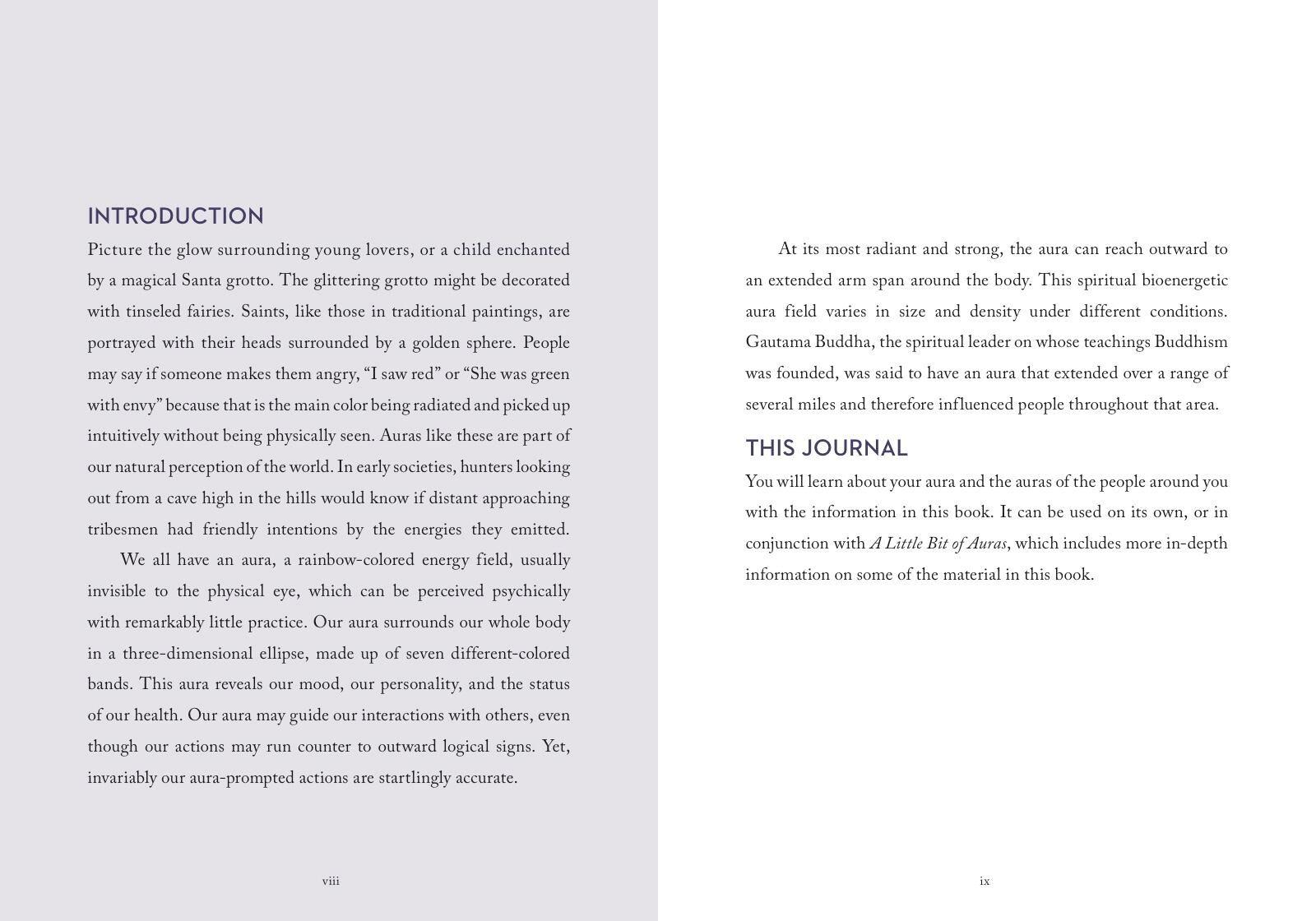 Beispielinhalt (Bild) A Little Bit of Auras Guided Journal