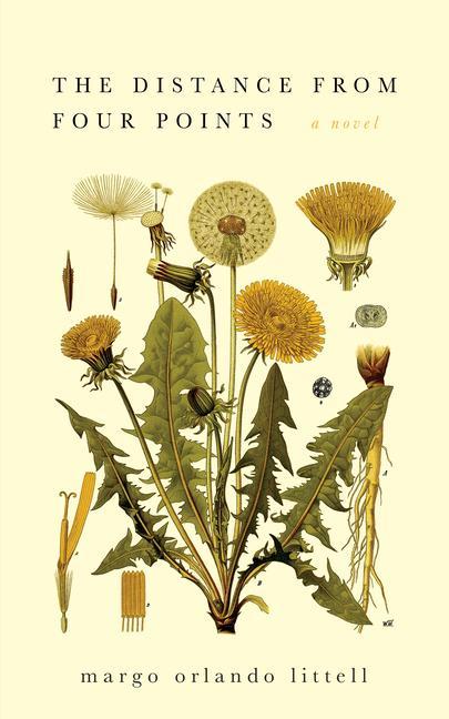 Vorderes Coverbild The Distance from Four Points