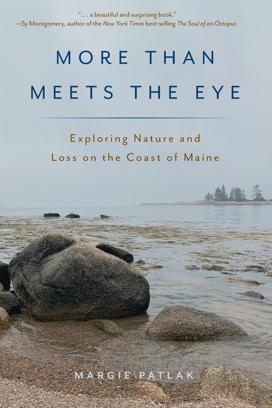 Vorderes Coverbild More Than Meets the Eye