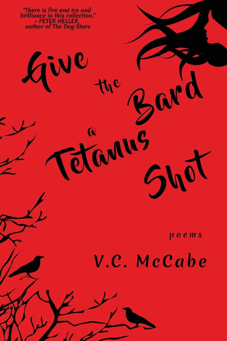 Vorderes Coverbild Give the Bard a Tetanus Shot