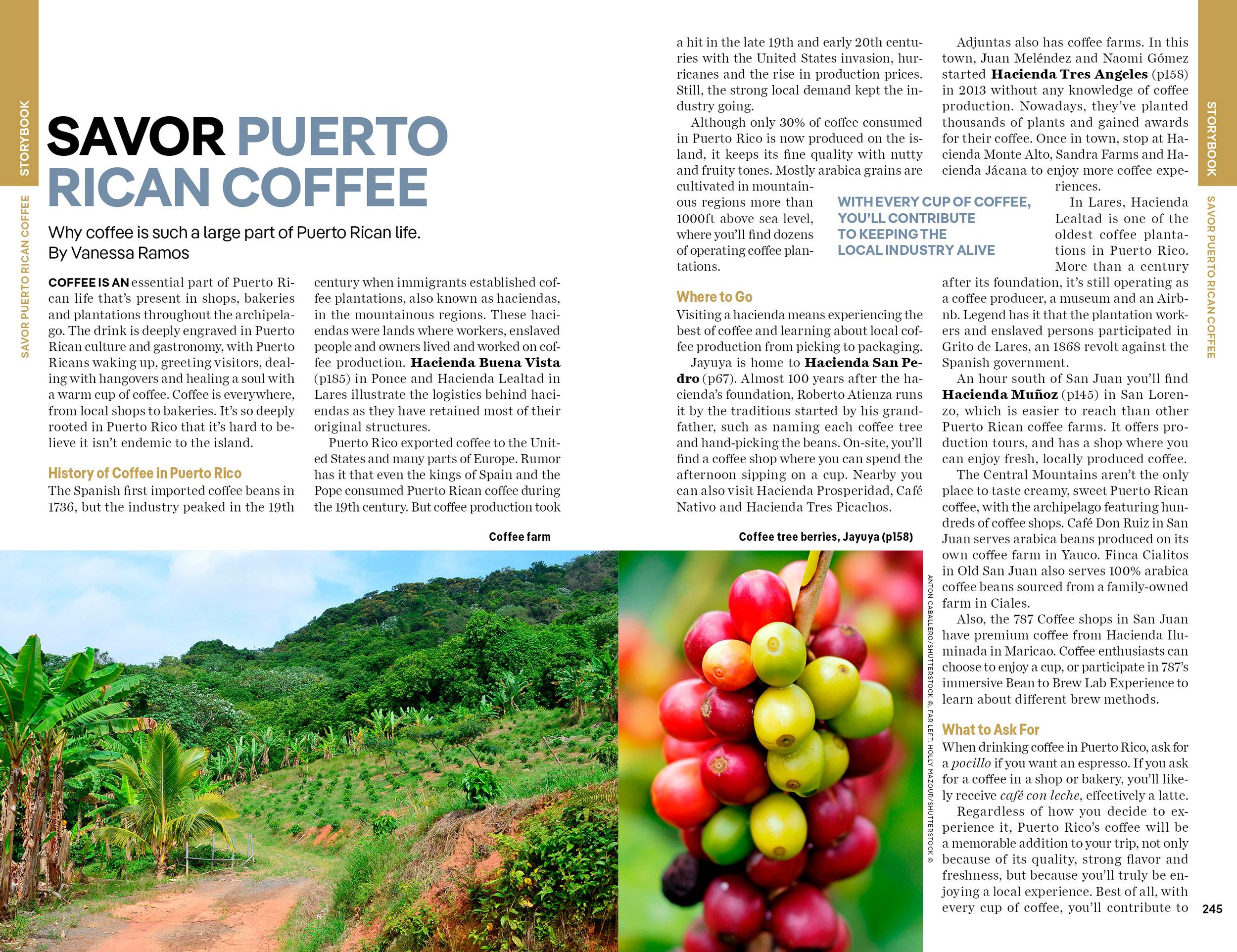 Beispielinhalt (Bild) Lonely Planet Puerto Rico