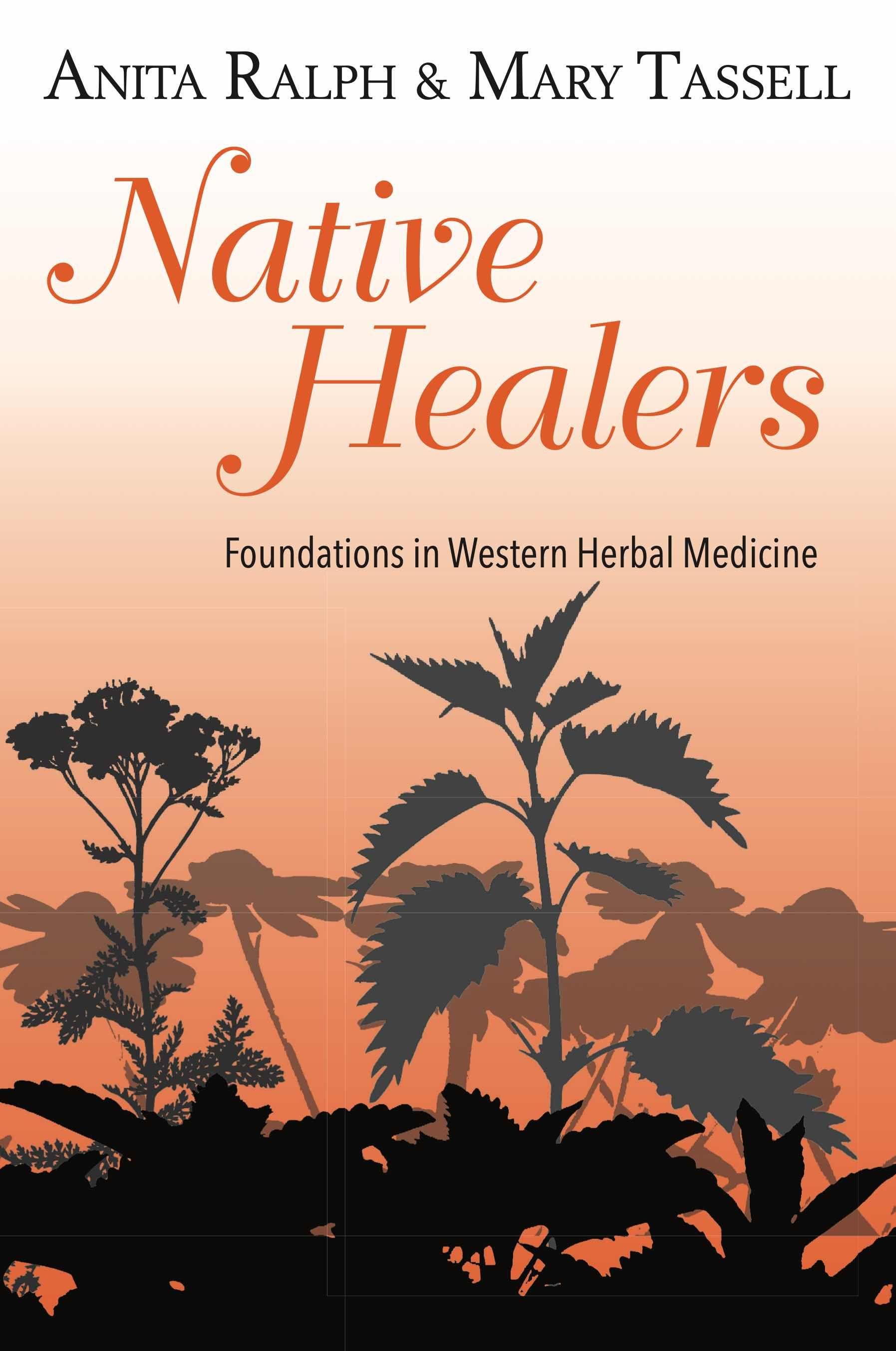 Vorderes Coverbild Native Healers