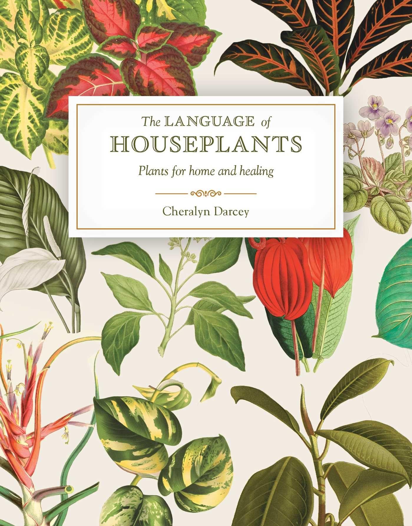 Vorderes Coverbild The Language of Houseplants