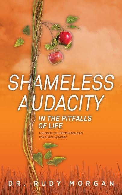 Vorderes Coverbild Shameless Audacity: In the Pitfalls of Life
