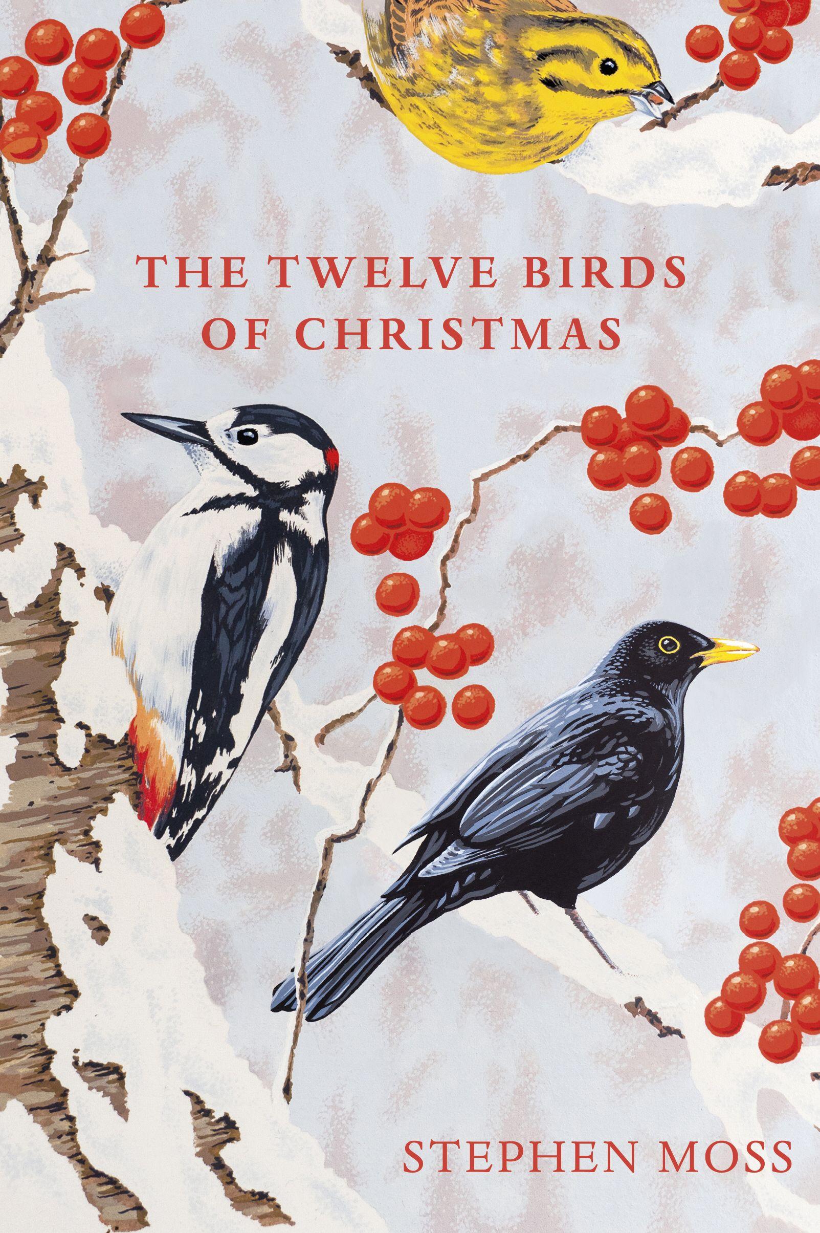 Vorderes Coverbild The Twelve Birds of Christmas