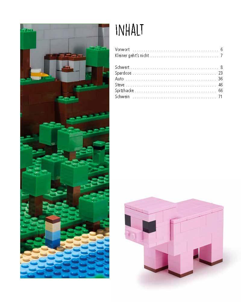 Beispielinhalt (Bild) Minecraft - Tipps für Kids