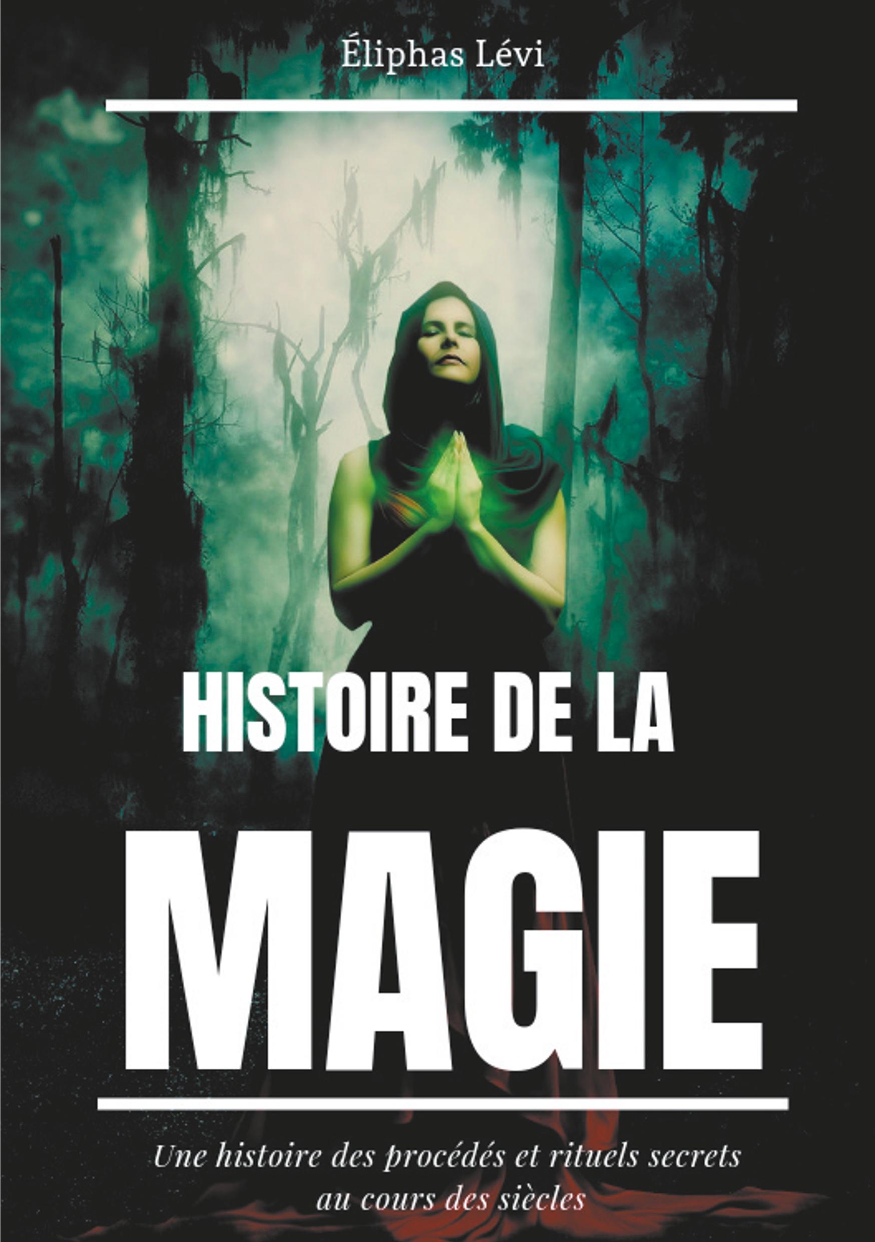 Vorderes Coverbild Histoire de la Magie