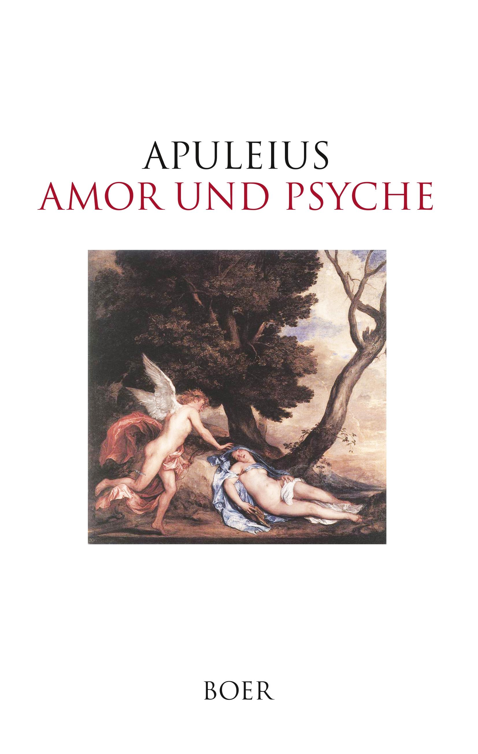 Vorderes Coverbild Amor und Psyche