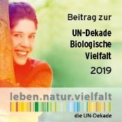 Beispielinhalt (Bild) Sandor 04. Der geheime Schwarm