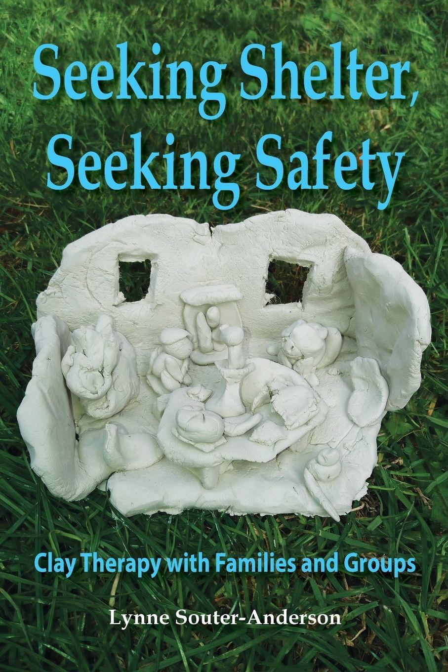 Vorderes Coverbild Seeking Shelter, Seeking Safety