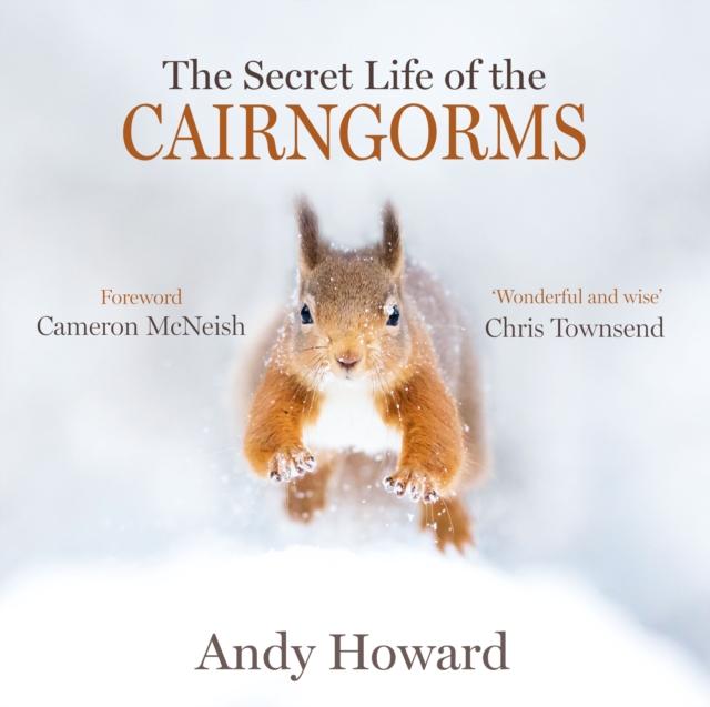 Vorderes Coverbild The Secret Life of the Cairngorms