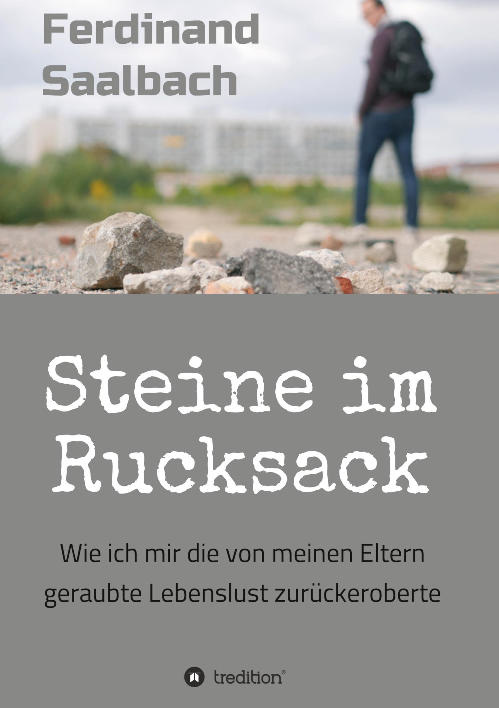 Vorderes Coverbild Steine im Rucksack