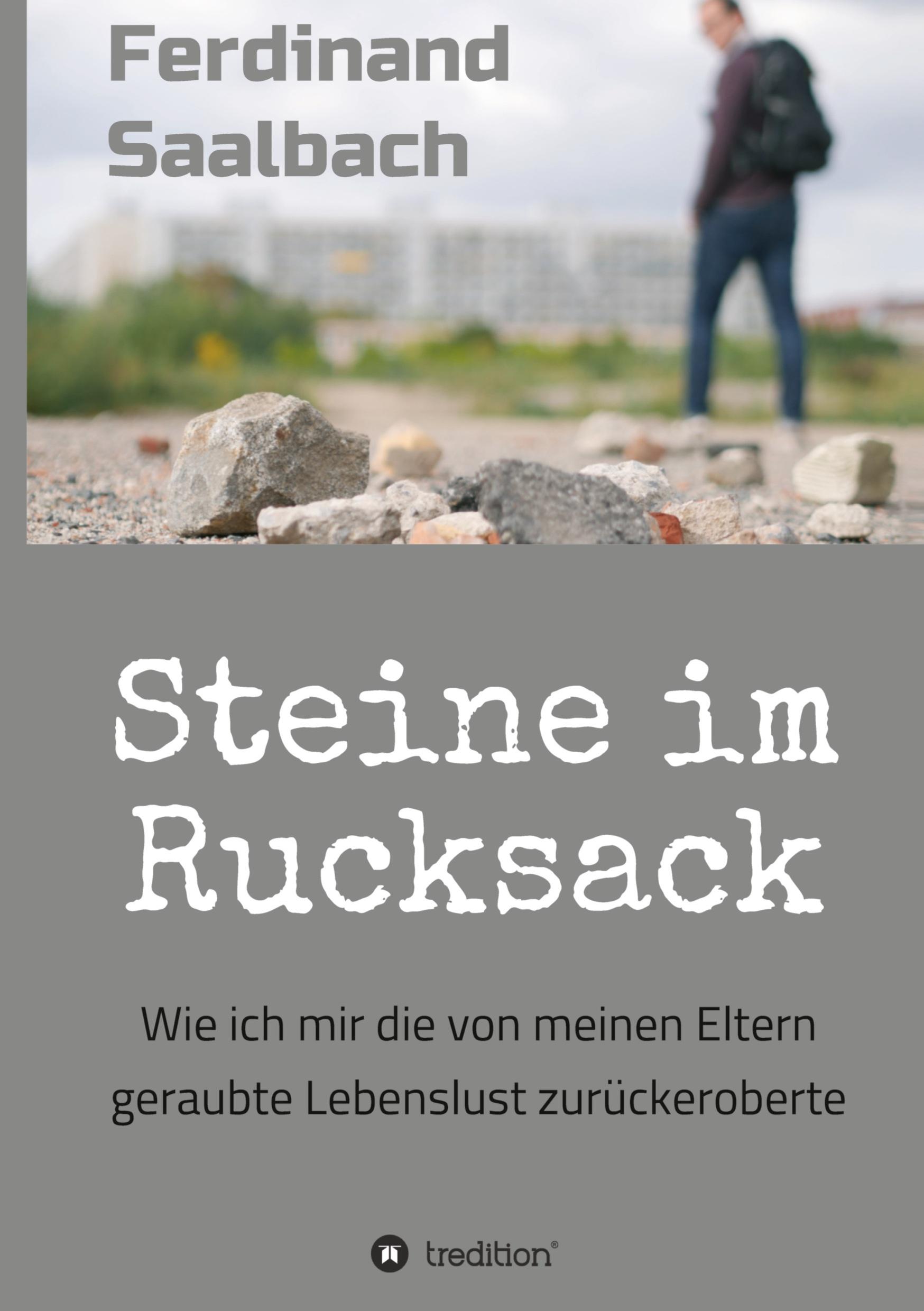 Vorderes Coverbild Steine im Rucksack