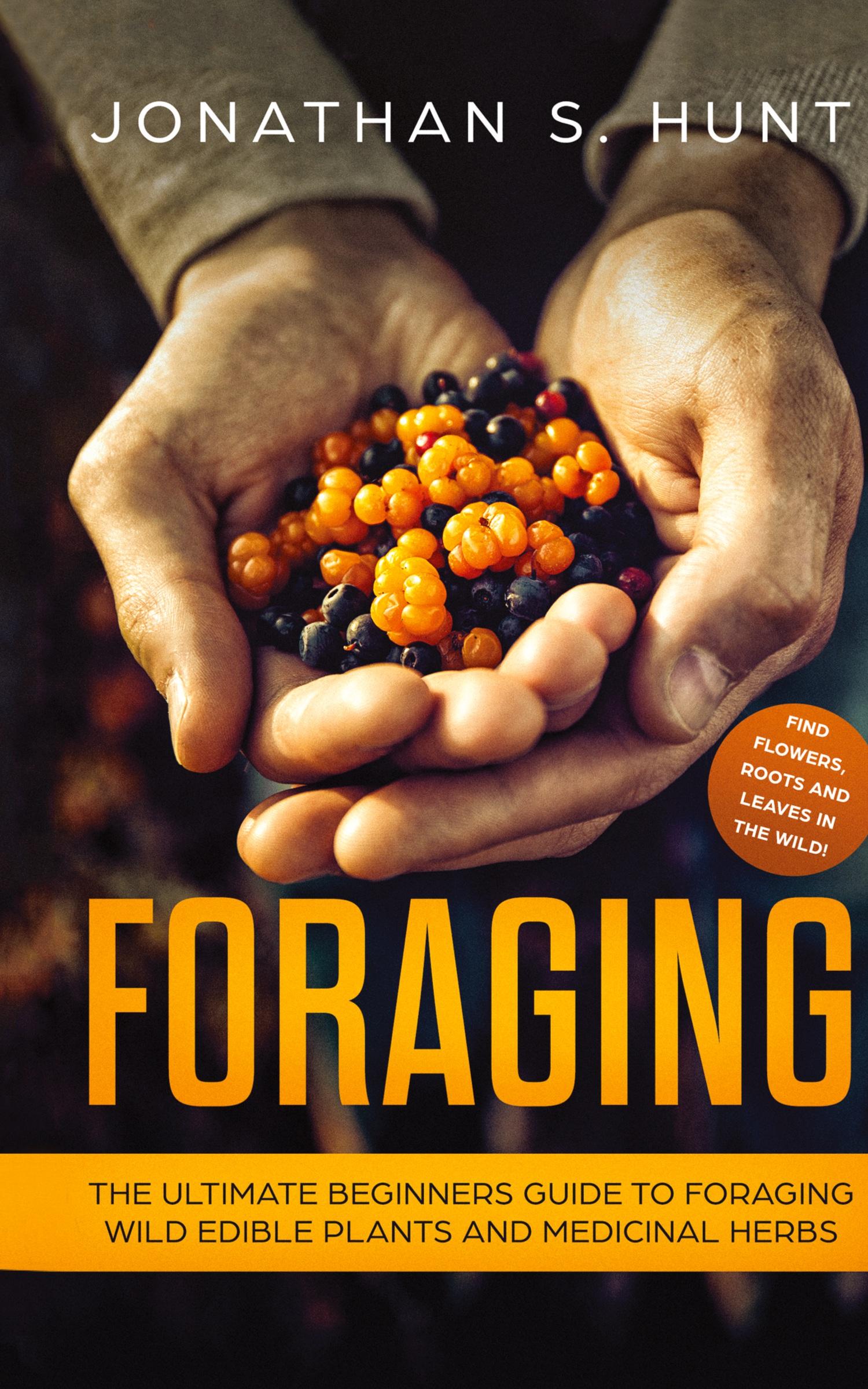 Vorderes Coverbild Foraging