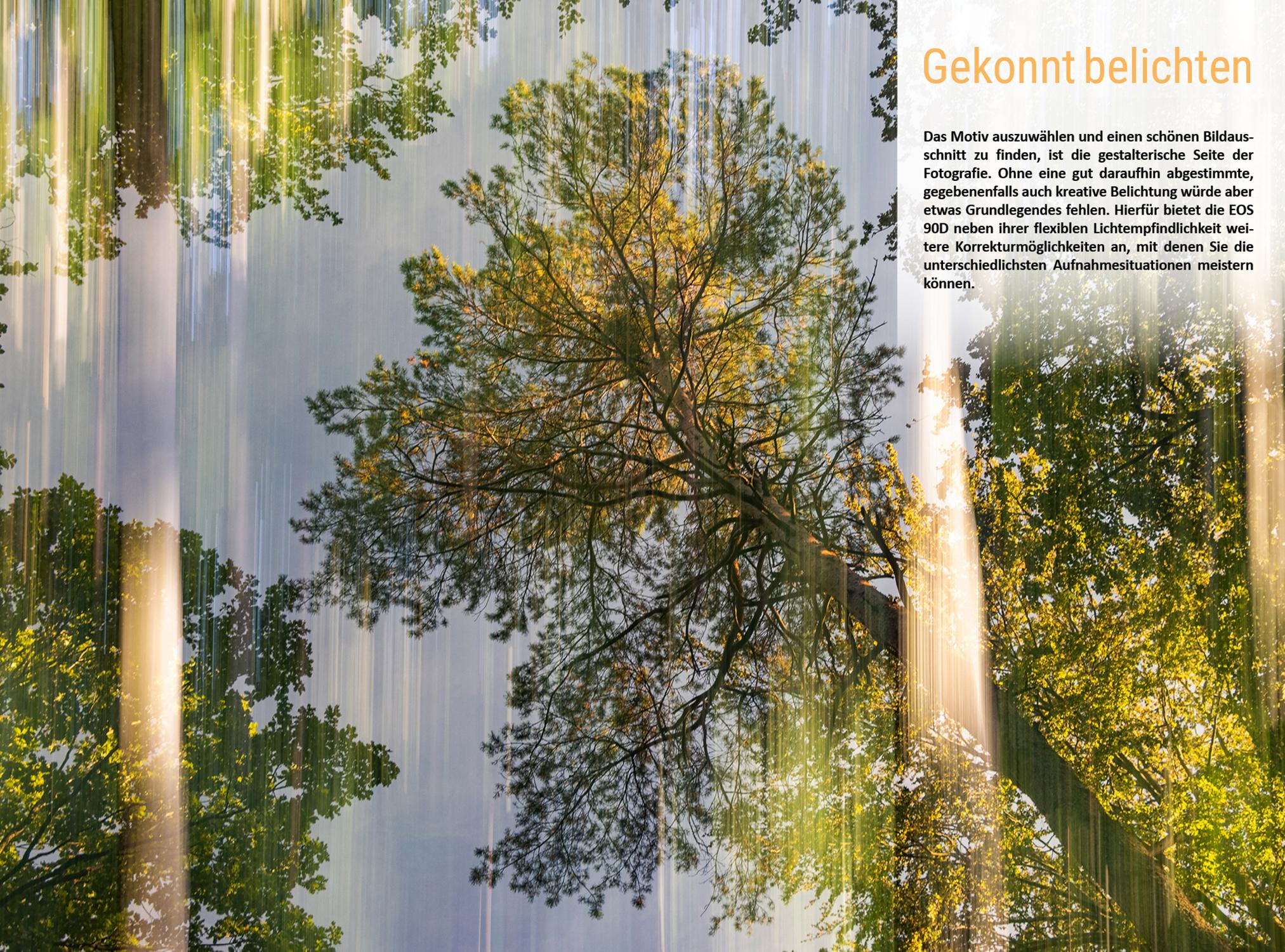 Beispielinhalt (Bild) Canon EOS 90D