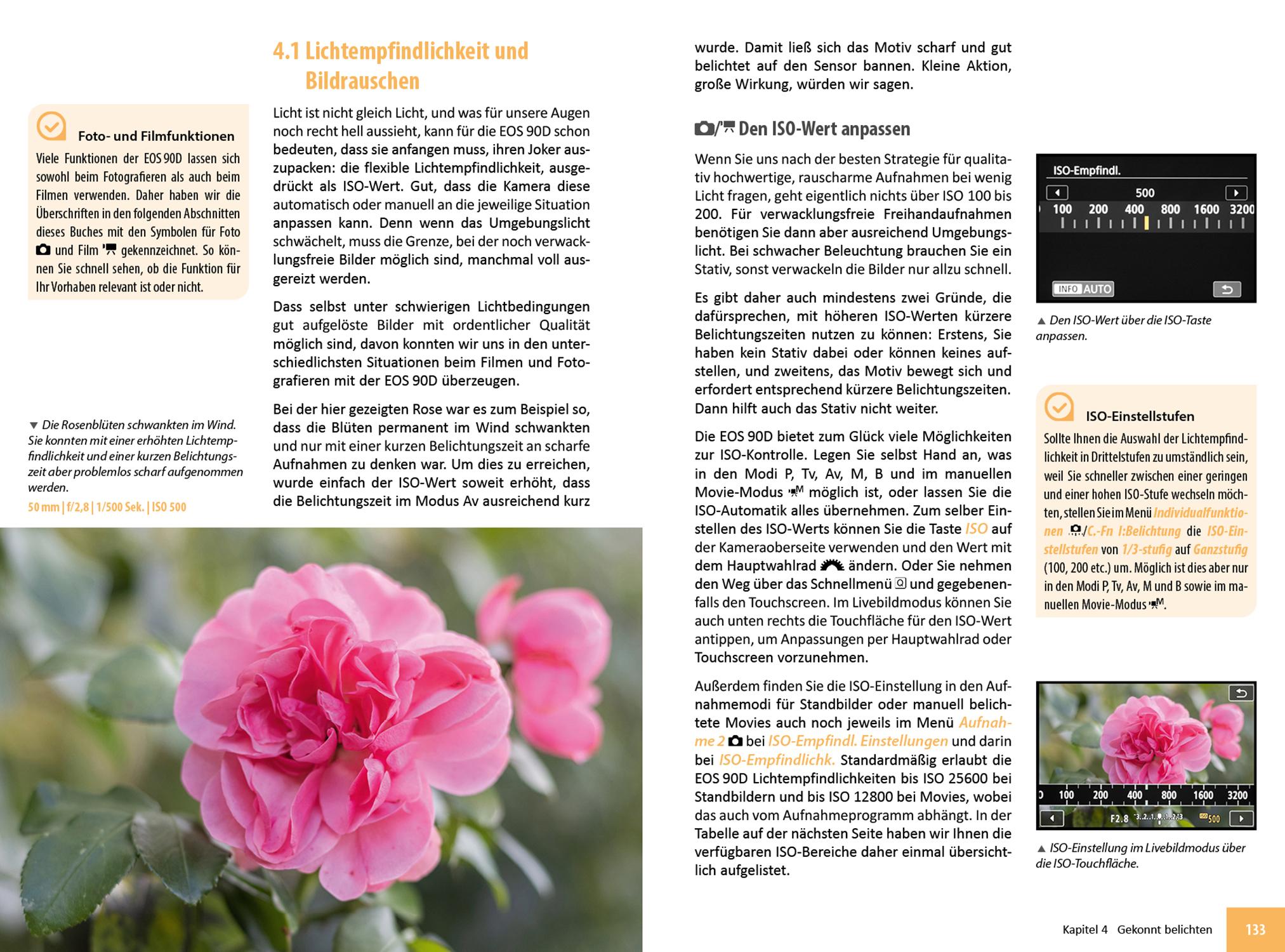 Beispielinhalt (Bild) Canon EOS 90D