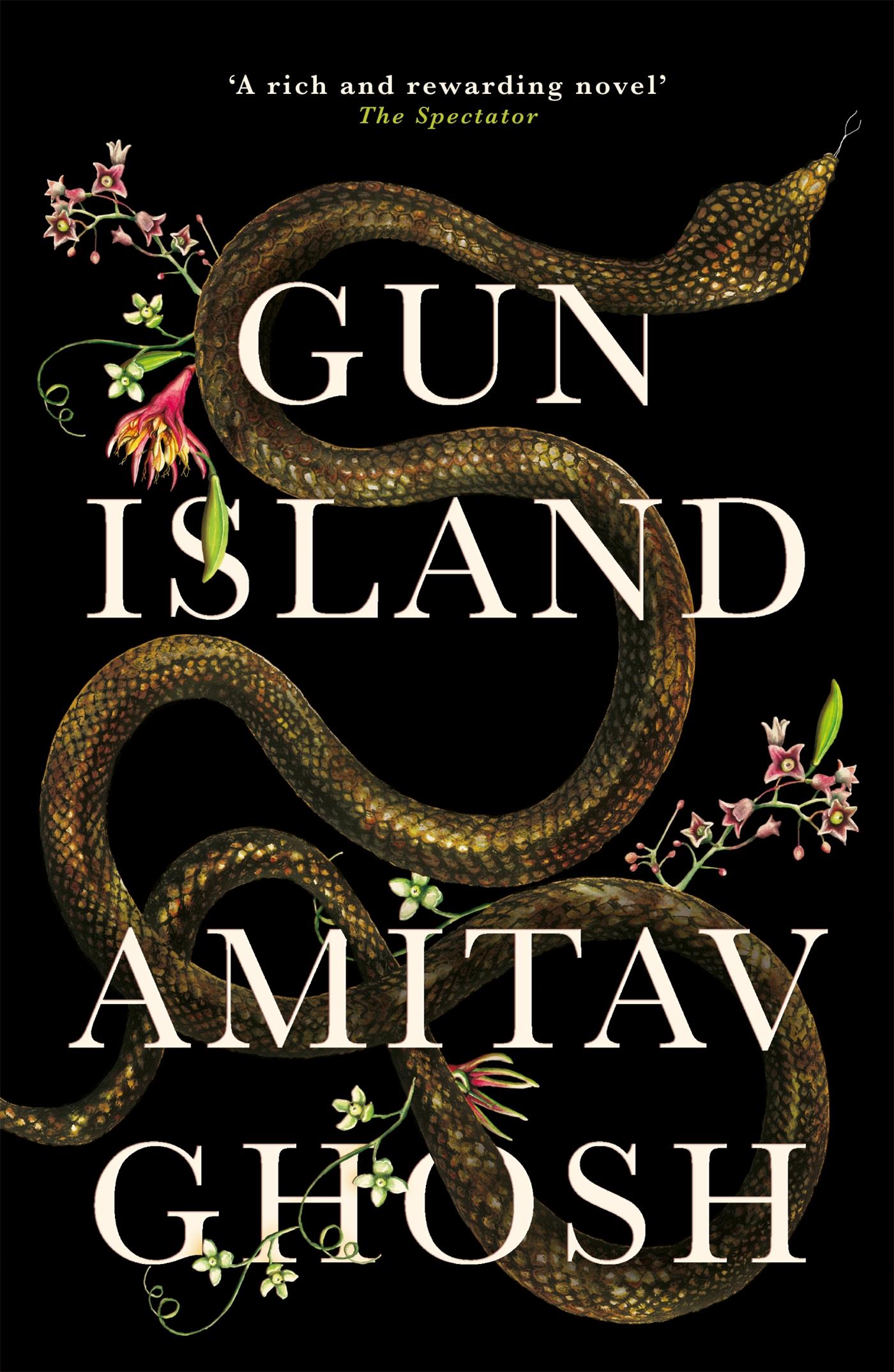 Vorderes Coverbild Gun Island