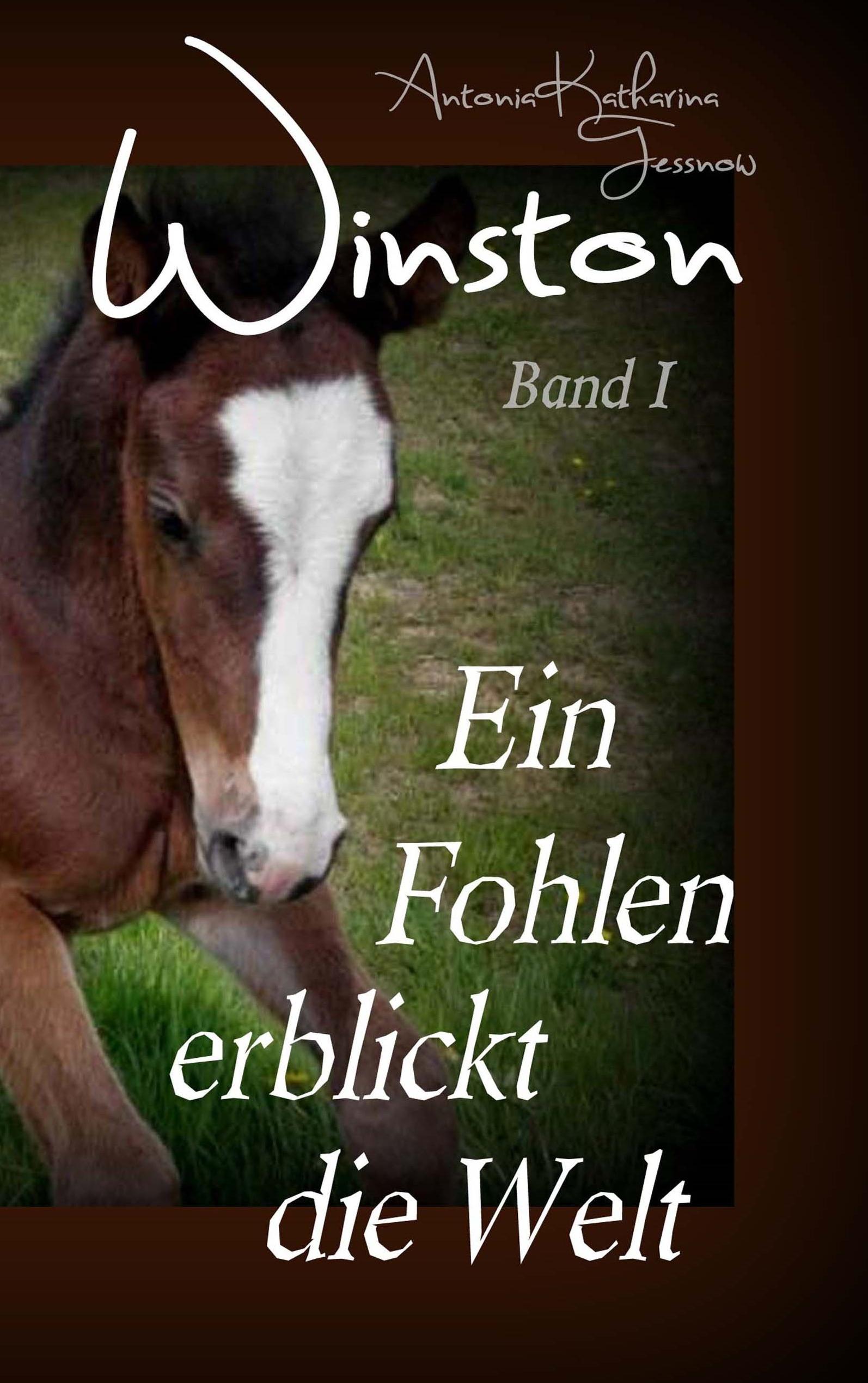 Vorderes Coverbild Winston - Ein Fohlen erblickt die Welt