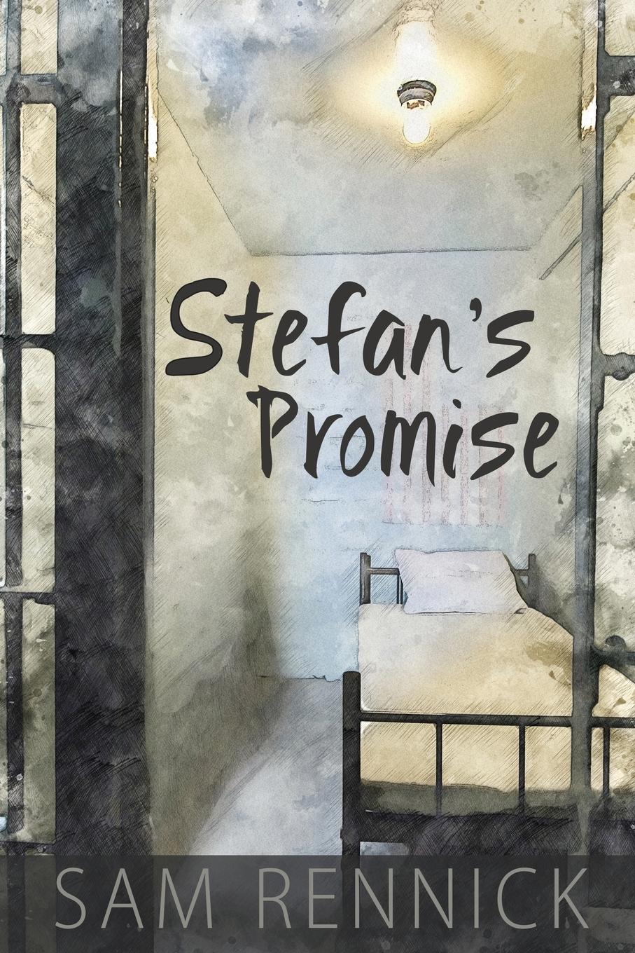 Vorderes Coverbild Stefan's Promise