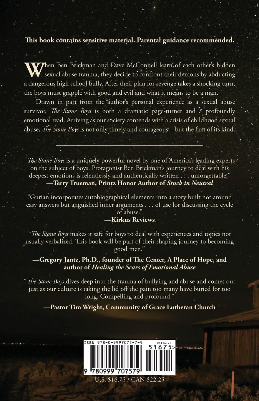 Rückseitencover The Stone Boys