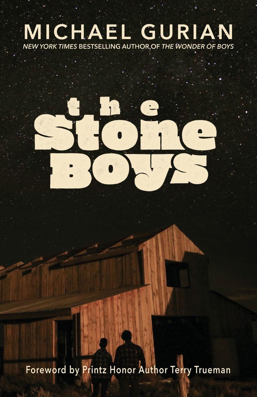 Vorderes Coverbild The Stone Boys