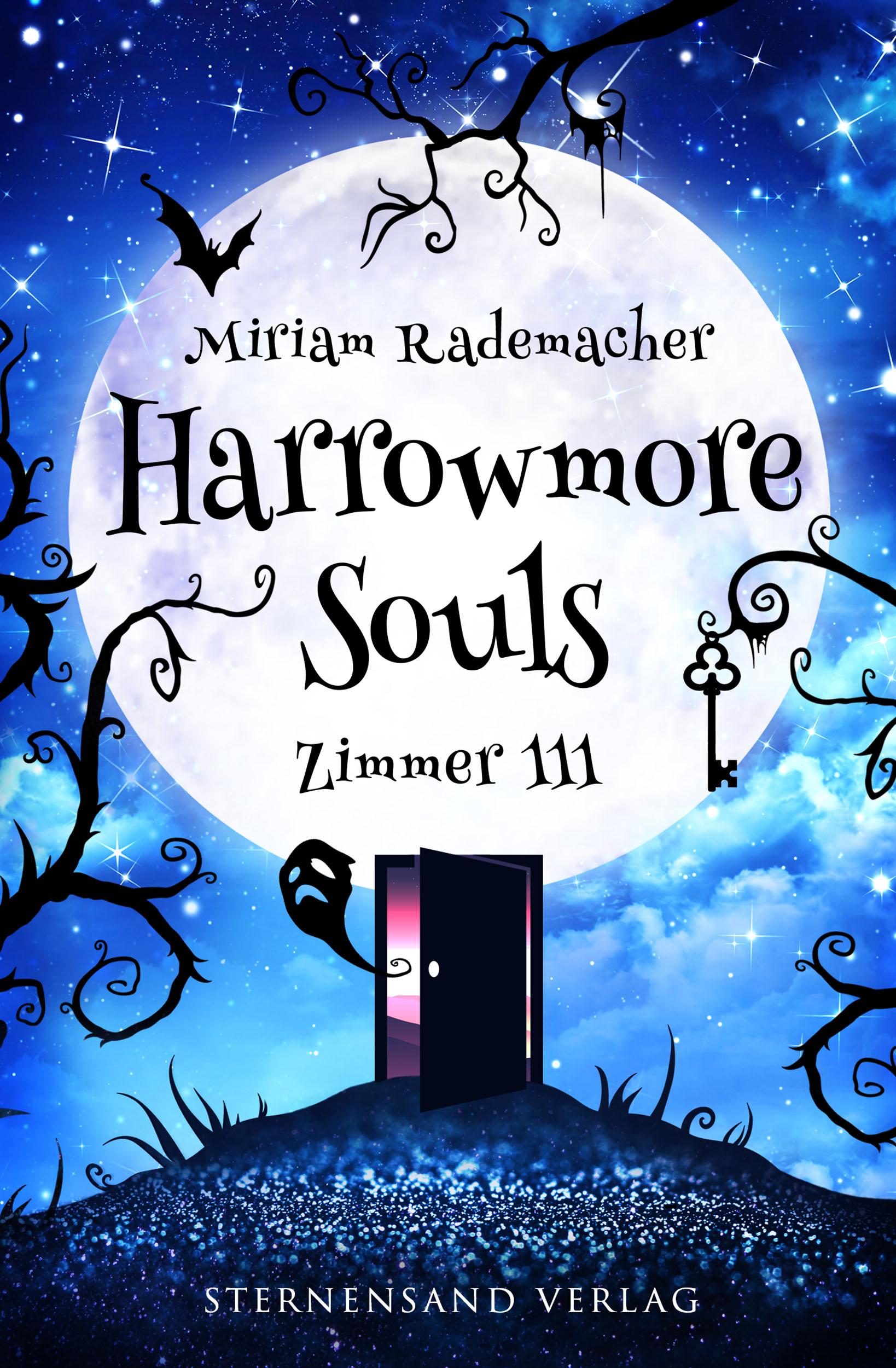 Vorderes Coverbild Harrowmore Souls (Band 1): Zimmer 111