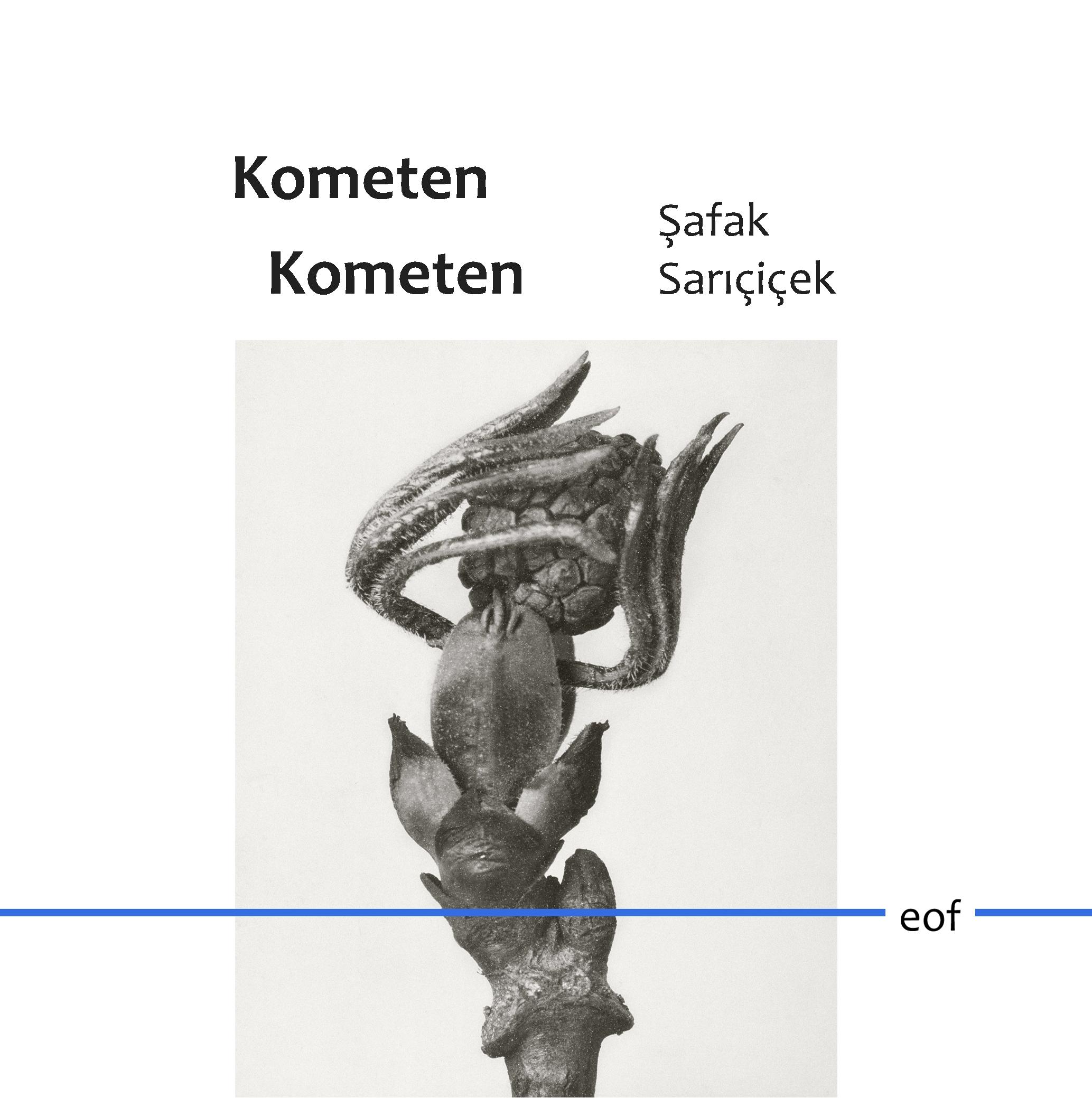 Vorderes Coverbild Kometen Kometen