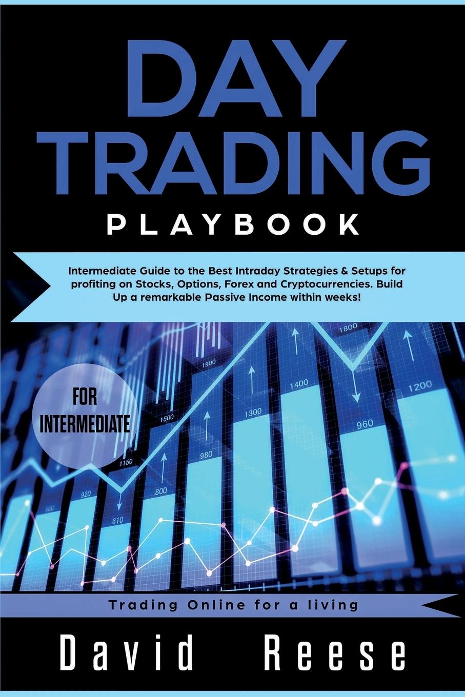 Vorderes Coverbild Day trading Playbook