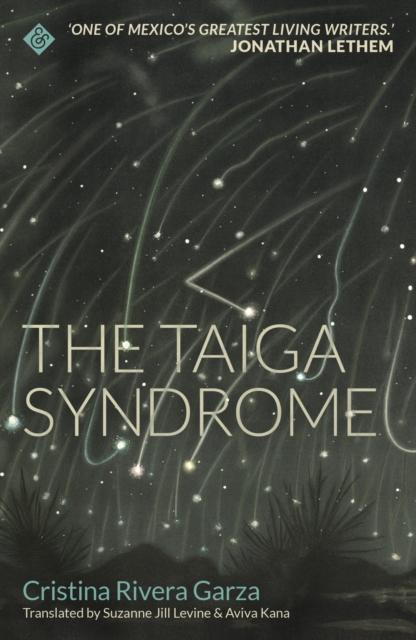 Vorderes Coverbild The Taiga Syndrome