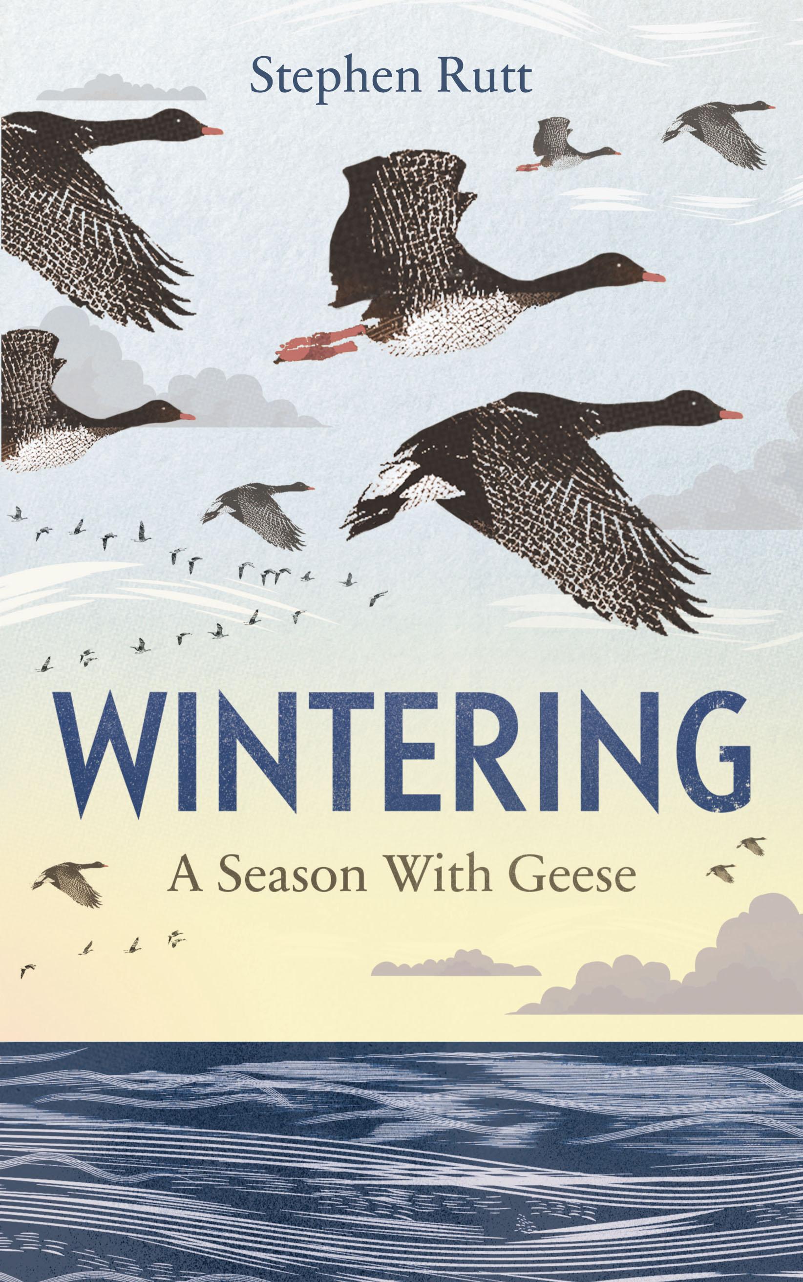 Vorderes Coverbild Wintering: A Season with Geese