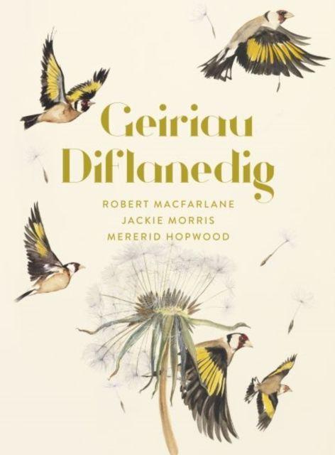 Vorderes Coverbild Geiriau Diflanedig