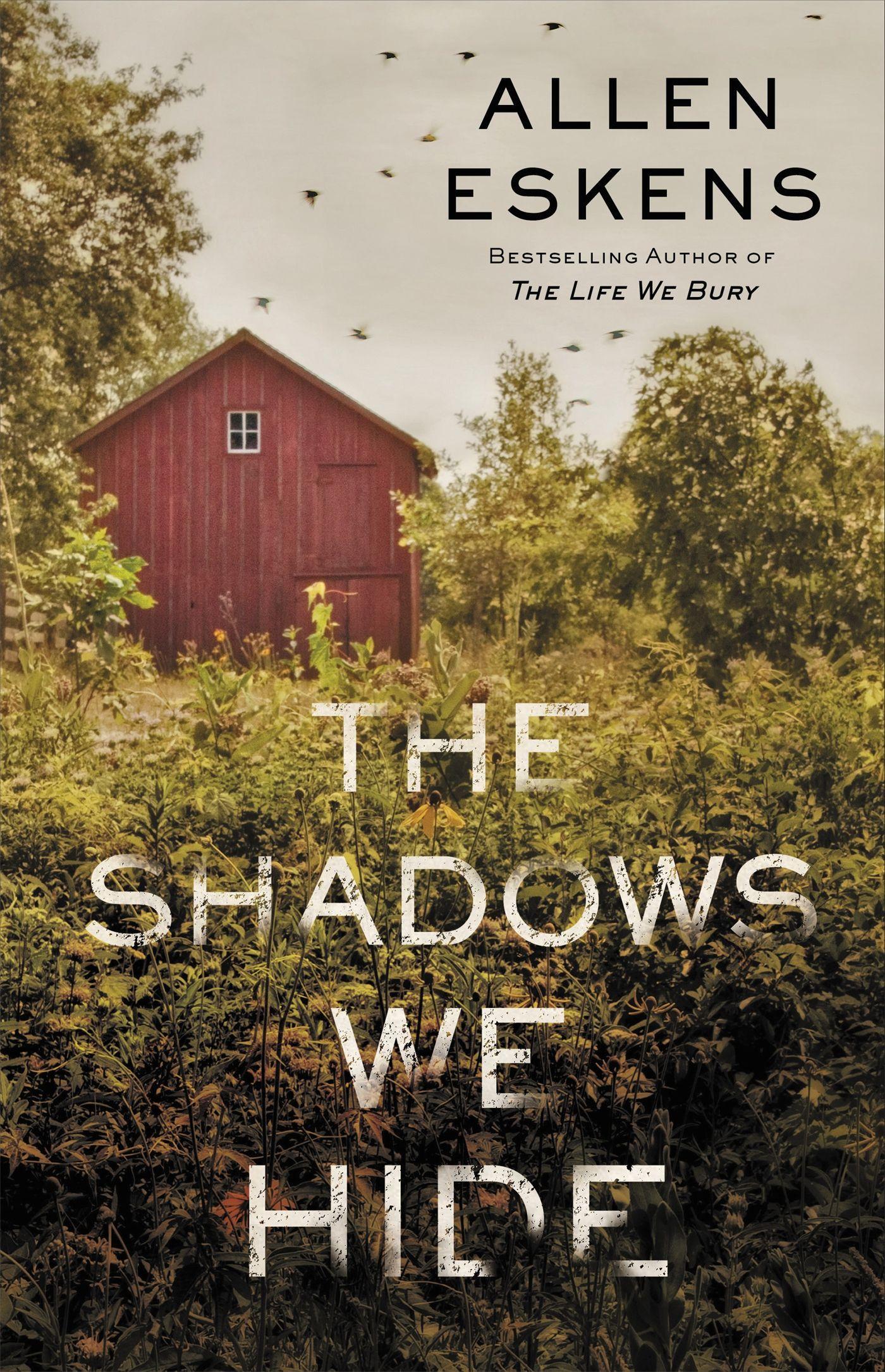 Vorderes Coverbild The Shadows We Hide