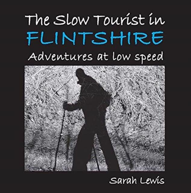Vorderes Coverbild The Slow Tourist in Flintshir