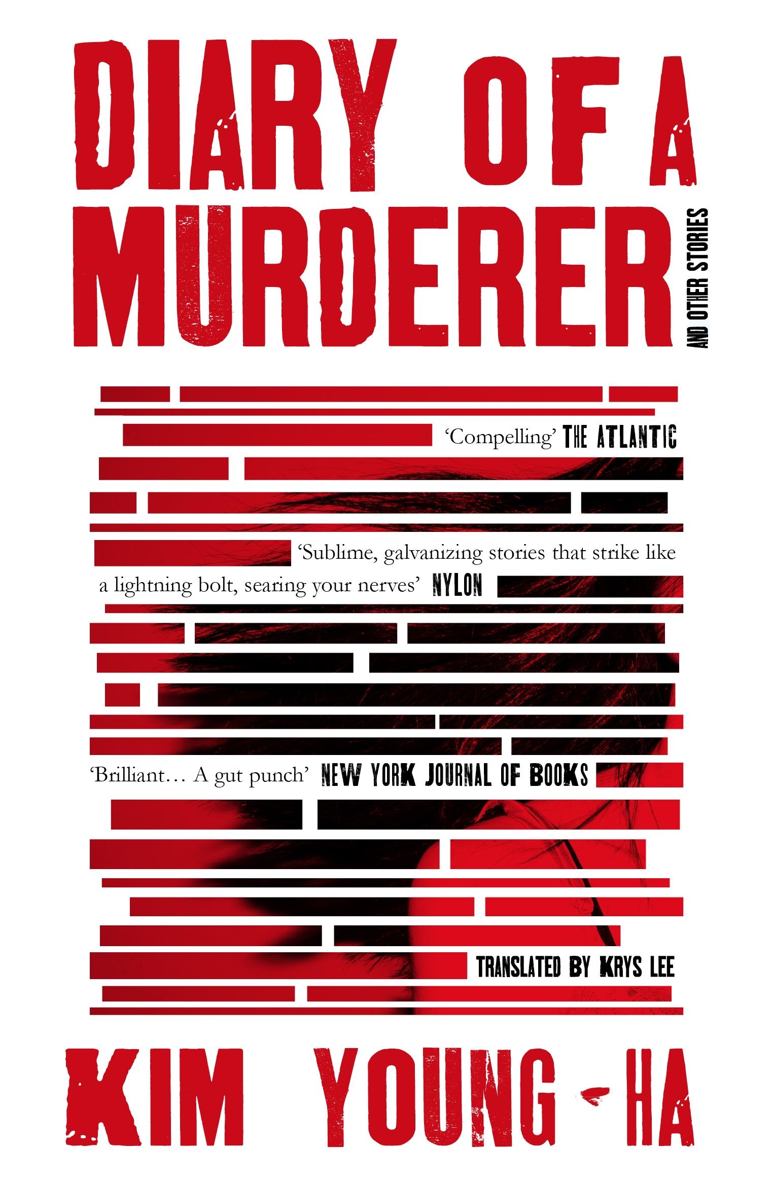 Vorderes Coverbild Diary of a Murderer