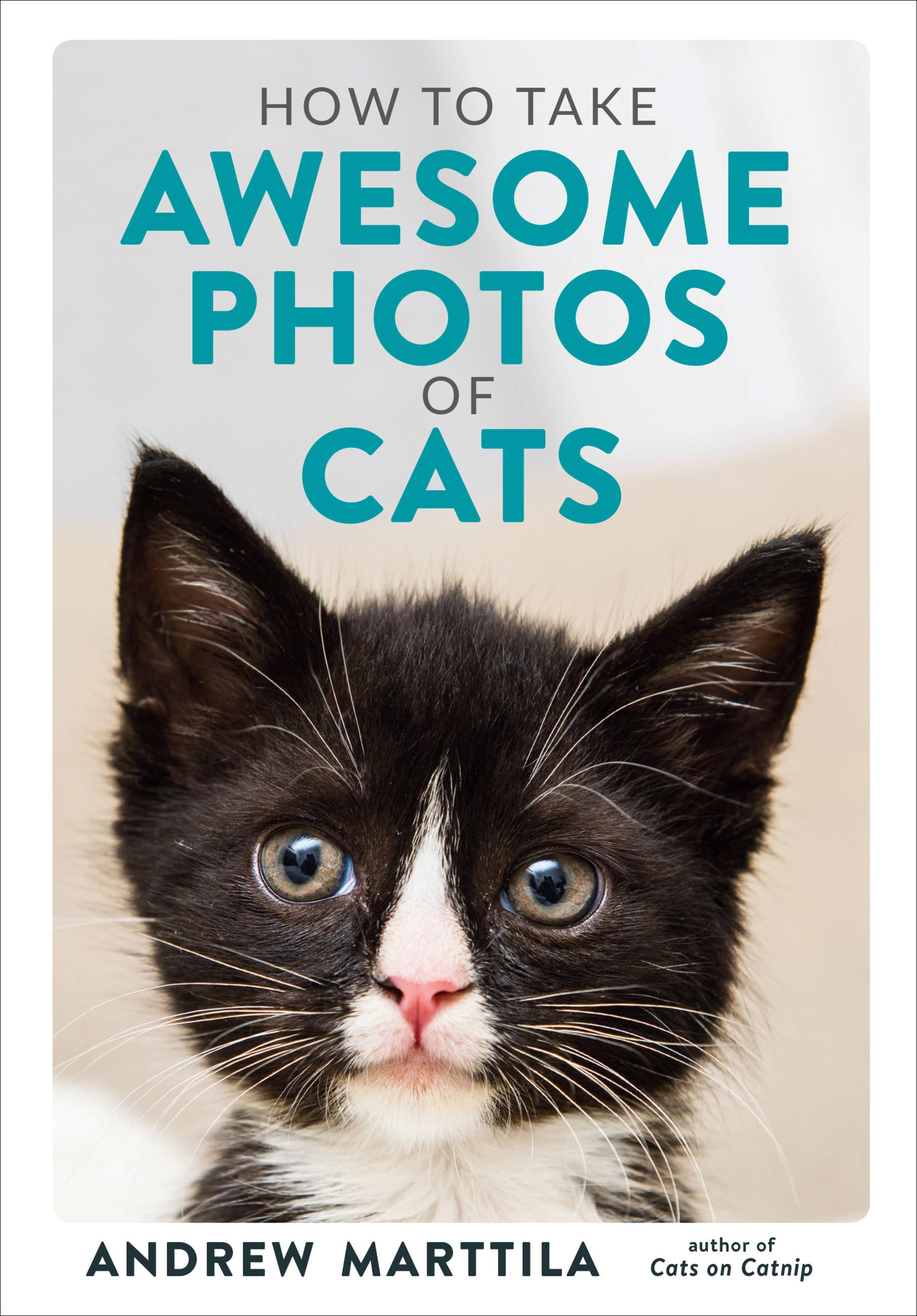 Vorderes Coverbild How to Take Awesome Photos of Cats