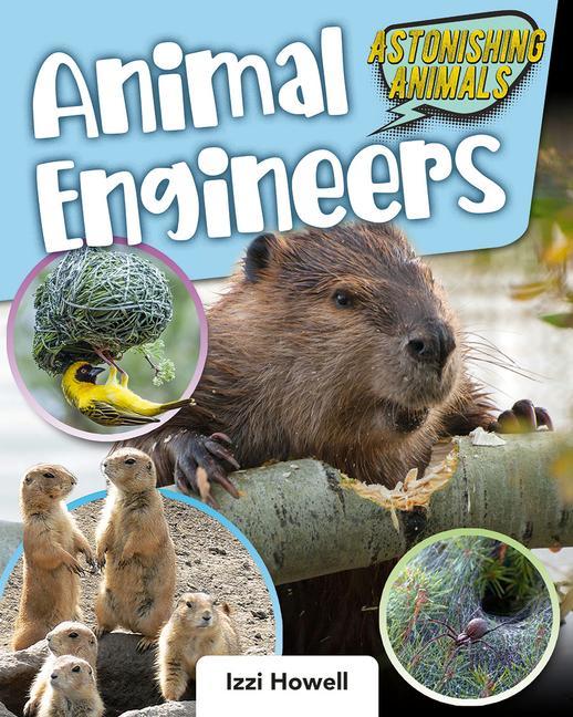 Vorderes Coverbild Animal Engineers