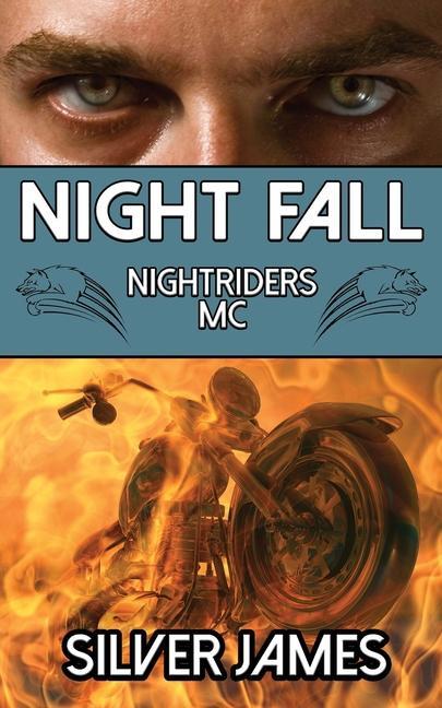 Vorderes Coverbild Night Fall
